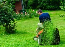 Kwikfynd Lawn Mowing
coverty